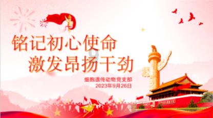 江疏影身穿墨绿色长裙 尽显优雅气质
